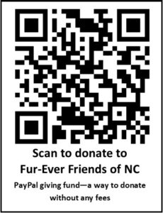 PP giving fund QR code